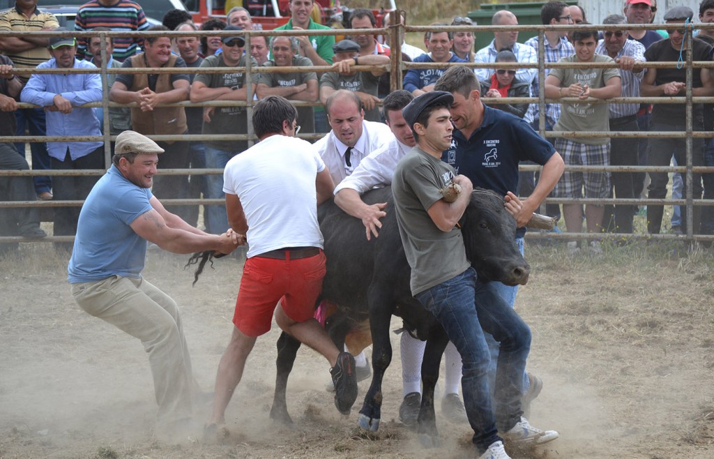 Pinhel | Distrito da Guarda
